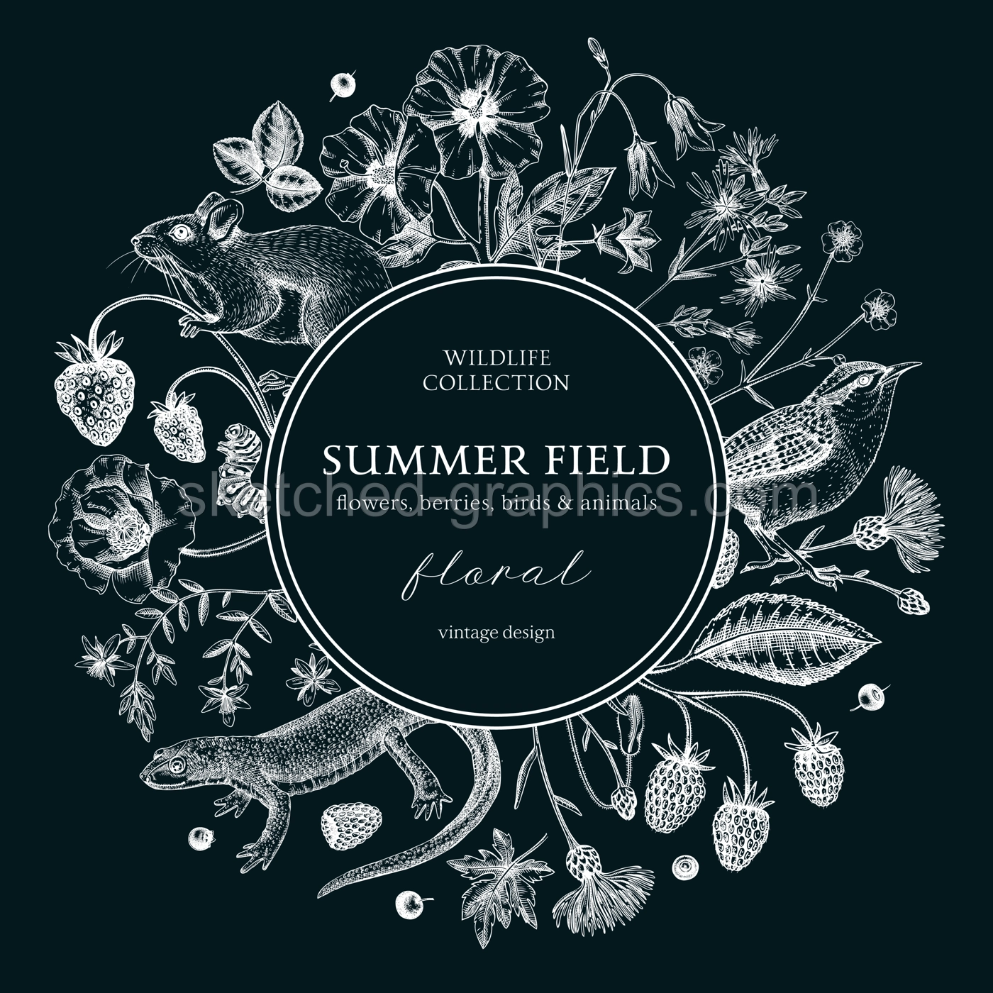 Summer background on chalkboard. Floral wreath design in vintage style. Wildflowers botanical illustration. Hand-drawn field of flowers, birds, and animals for wedding invitation, decoration. Illustration
